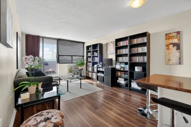 1 Bedroom Condo