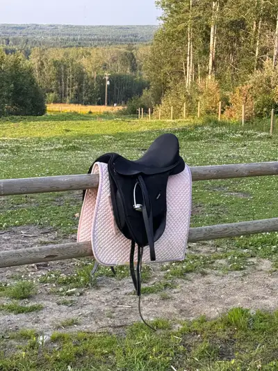 Isabell Weir Wintec Dressage Saddle 17”, View more