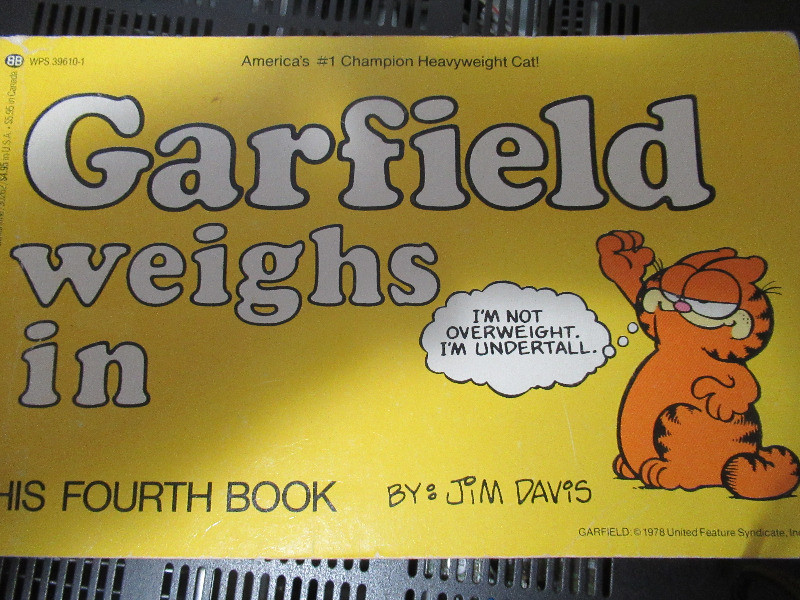 Garfield his fourth for sale  