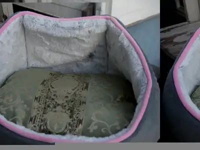 Dog/ pet beds in smoke-free, pet-free home., View more