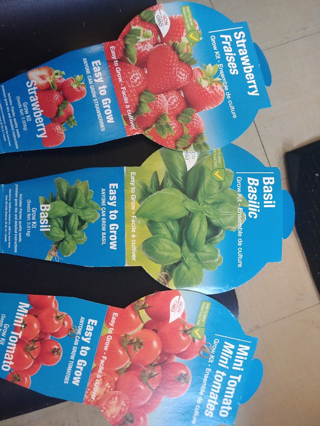 7 pour 5$ Kit de semences Tomates / Basilique / Fraises dans Plantes, engrais et terreaux  à Ville de Québec - Image 2