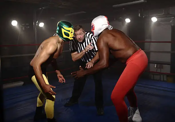Pro Wrestling Lessons495416392801341441