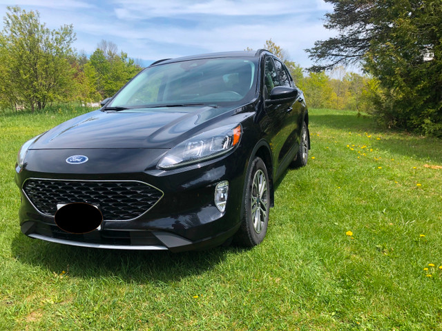 2021 Ford Escape Hybrid SEL in Cars & Trucks in Owen Sound - Image 2