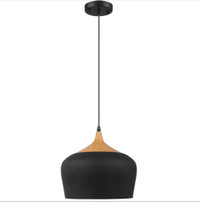 Lumière Suspendu Noir Mat - Light Pendant Matte Black