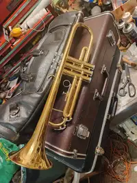 Nova trumpet D-141