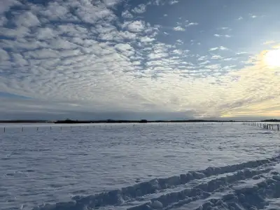 12.33 acre farm for sale. MLS # A2288282 Located in Valhalla Center, 20 minutes north of Beaverlodge...