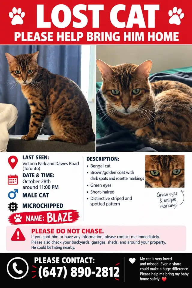 LOST CAT IN EAST YORK, ON !!! Please help us bring him home