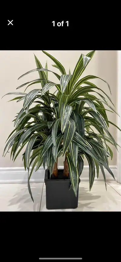 Artificial Song of India Plant, View more