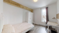 Renting 1 Bedroom in a 4-bedroom apartment (Plateau Mont-Royal)