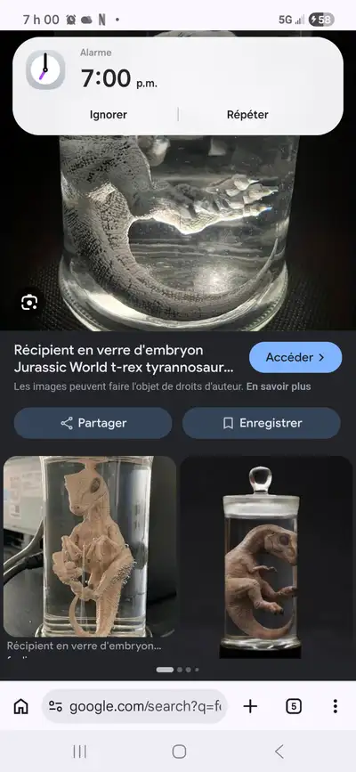 Foetus de dinosaure dans un bocal, View more
