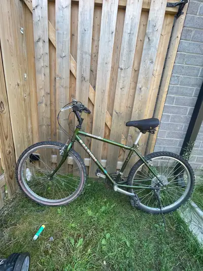 Raleigh Discovery Bicycle, View more