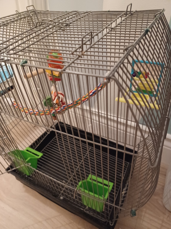 Open top budgie/finch bird cage, AVAILABLE in Birds for Rehoming in Abbotsford - Image 2