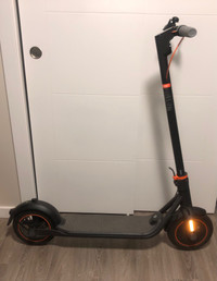 E scooter ( segway ninebot )