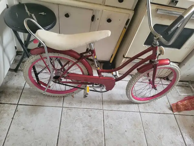 20 inch girls bike  in Kids in Windsor Region - Image 2