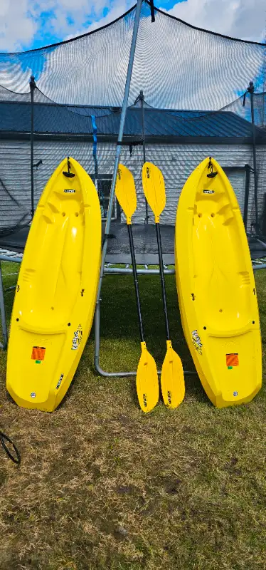 Lifetime Wave 60 Youth kayaks with paddles for sale. Great shape, selling because kids outgrew them....