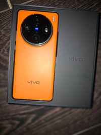 Vivo X100 Pro (16/512)