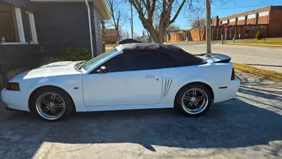 White Stang, very clean garage stored and maintained. Engine stock other than valve cover gaskets. A...