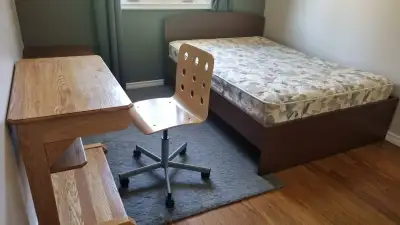 Grande chambre à louer