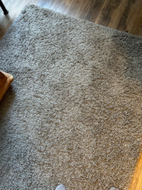 Grey shag carpet