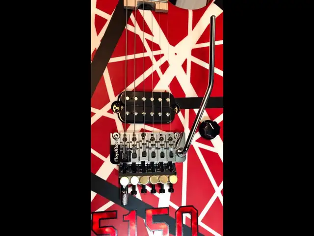EVH Wolfgang pickup426574313853429765