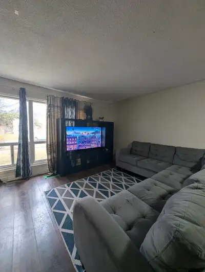 Students room rental