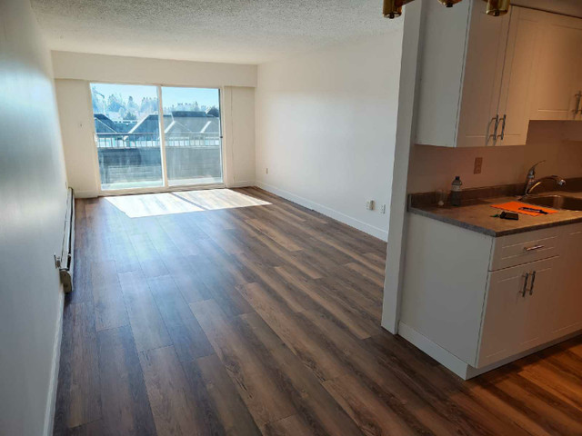 1550/1bd 700 sqft  Downtown Abbotsford  in Long Term Rentals in Abbotsford - Image 3