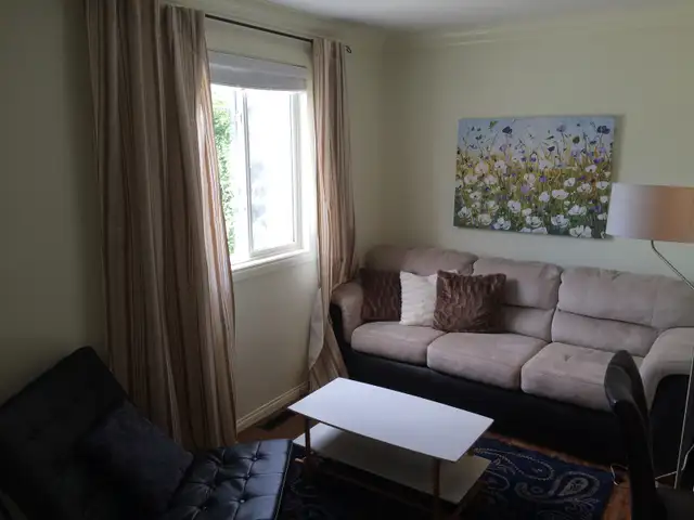 CLASSY, CHIC, FULLY-FURNISHED, ONE-BEDROOM FLAT IN CENTRAL YEG