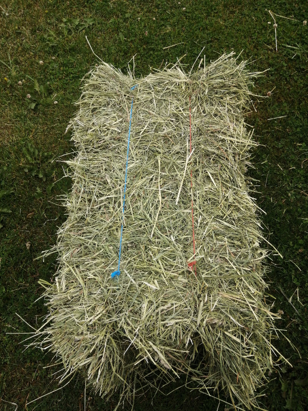 Timothy Hay for Sale in Livestock in Kitchener / Waterloo