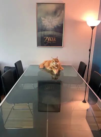 Table de salle à diner en verre trempé transparent Roche Bobois, View more