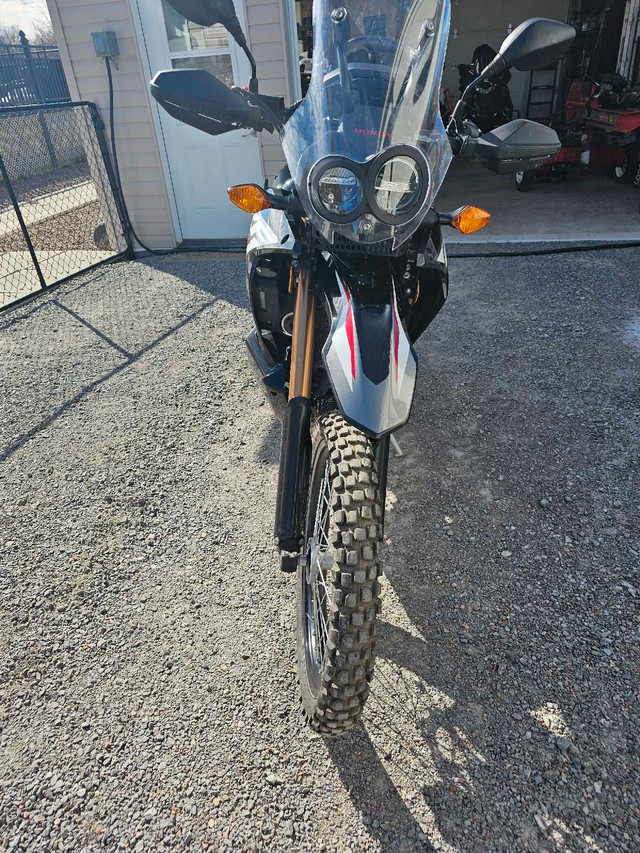 2019 Honda CRF 250 Rally in Dirt Bikes & Motocross in Pembroke - Image 2