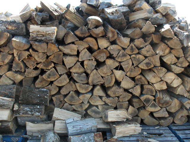 Firewood/Campfire Wood/Wood for Smokers in Other in Kingston - Image 2