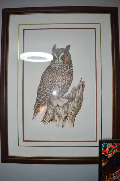 FRAMED CHRISTINE MARSHALL OWN PRINT 42/200 25" X 34", View more