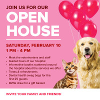 OPEN HOUSE - Sat. Feb 10 - Animal Hospital of Oakville