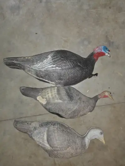 Turkey decoys, View more