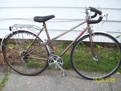 Vélo de course pour femme Elvish Caravane, View more