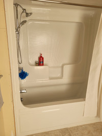 Shower and bath unit for sale