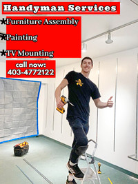 Furniture Assembly \ Handyman \ TV mounting \ Painting