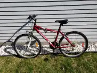 Bicycle Bike Bicyclette grandeur Adult size