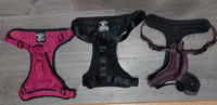 3 Dog harnesses
