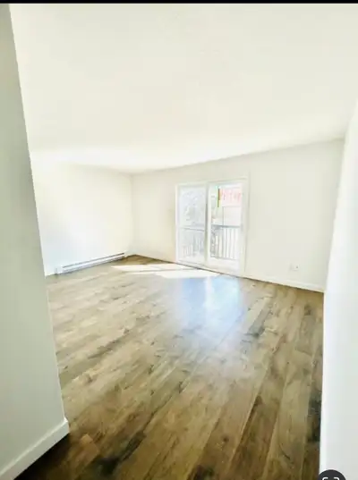 Disponible à partir du 1 AVRIL 4 1/2 Appartement #5 PAS de chien seulement chat (10$+) * les visites...