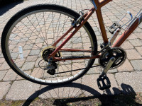 Women’s cruiser bike 