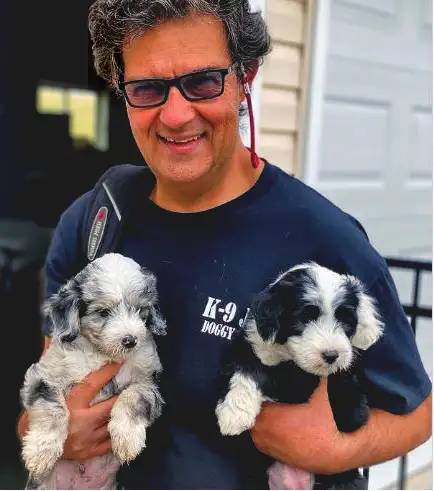 Dog Boarding Professional Reasonable Prices With 5 Stars in Animal & Pet Services in Calgary - Image 3