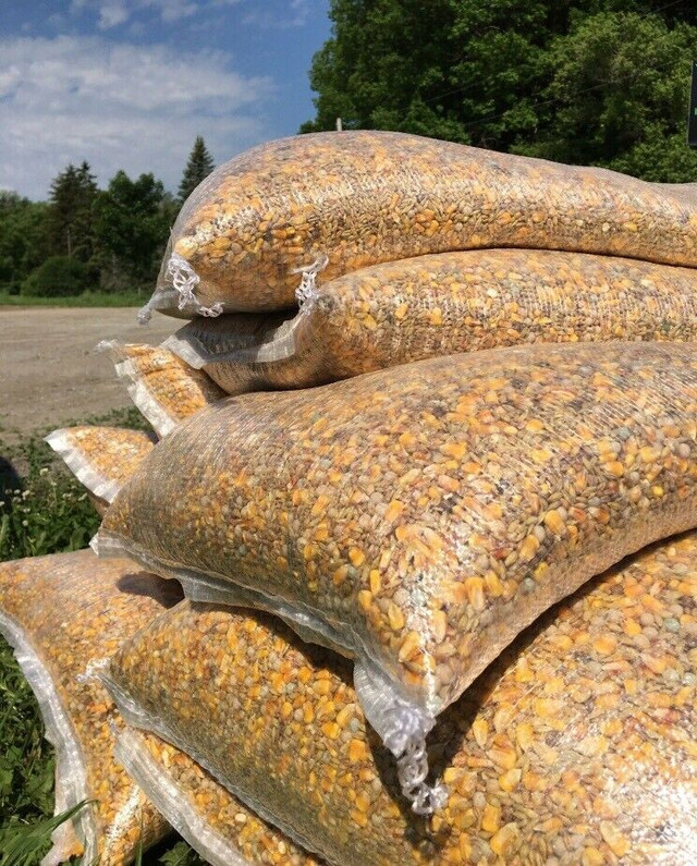 PIGEON FEED SEED FOOD $45 / BAG  - PICKERING in Birds for Rehoming in City of Toronto