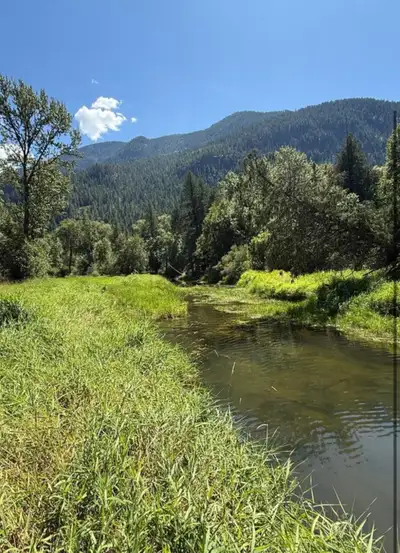 Beautiful 29 acre property in serene Winlaw B.C near slocan park. Only 40 minutes from Nelson or cas...