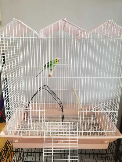 Used sleeping cage for Conure/Cockatiel, View more