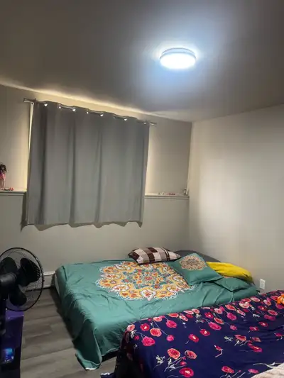 1 Bedroom & 1 Bath