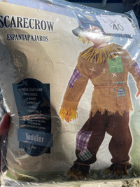 Scarecrow costume