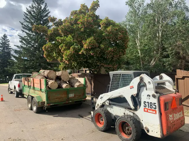 FAMILY TREE SERVICE  306-230-6910 in Snow Removal & Property Maintenance in Saskatoon - Image 9