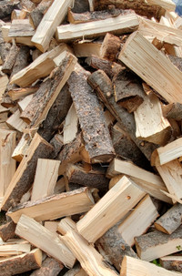 Lot's of firewood