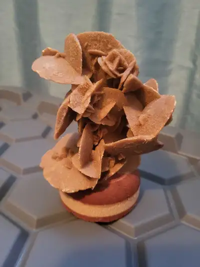 Roses des sables, View more